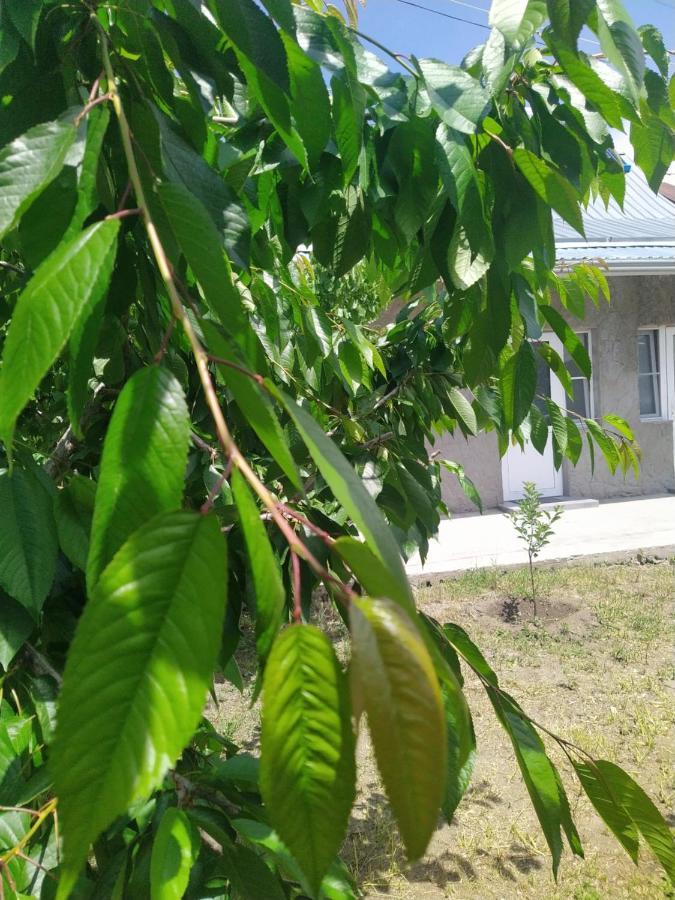 Vanand Guest House Ґюмрі Екстер'єр фото